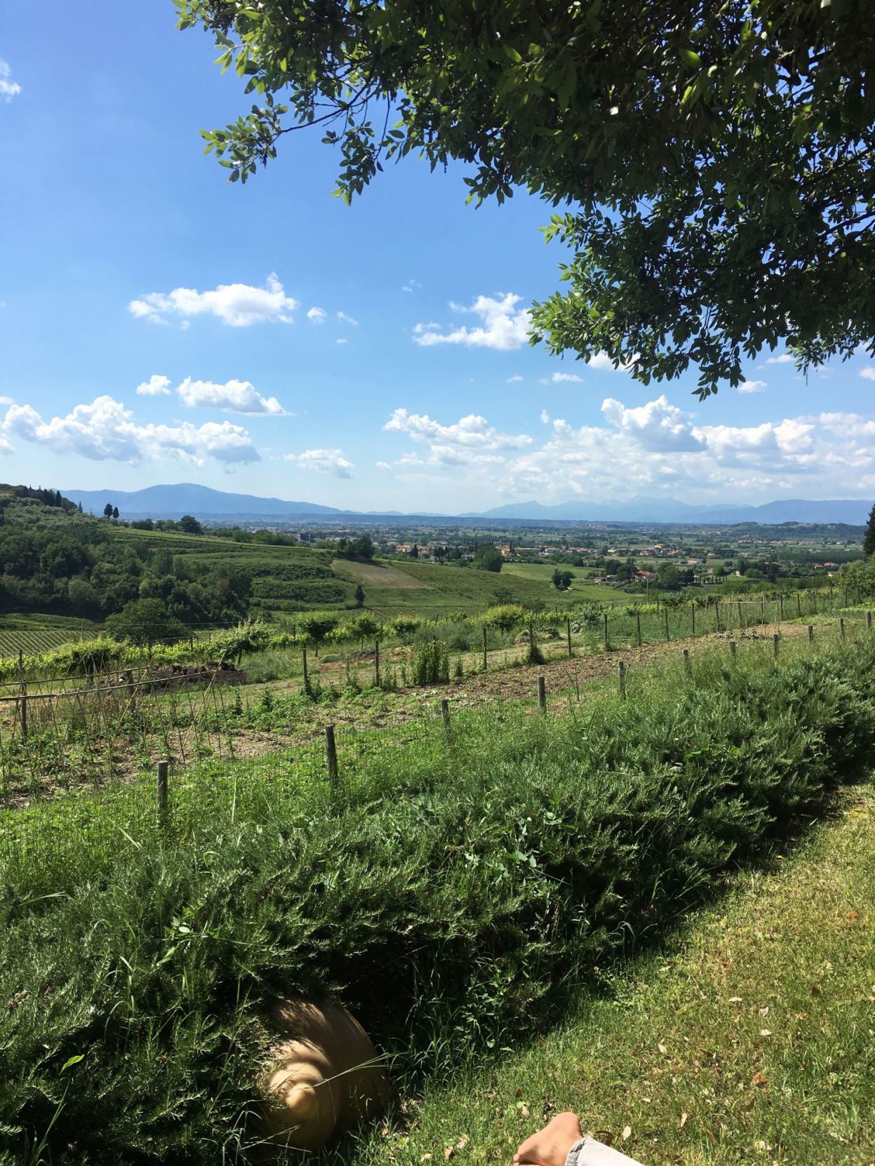 Tuscany